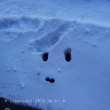 雪の顔