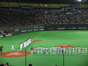 日米野球