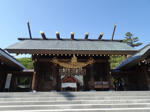 エゾリス／白しっぽ