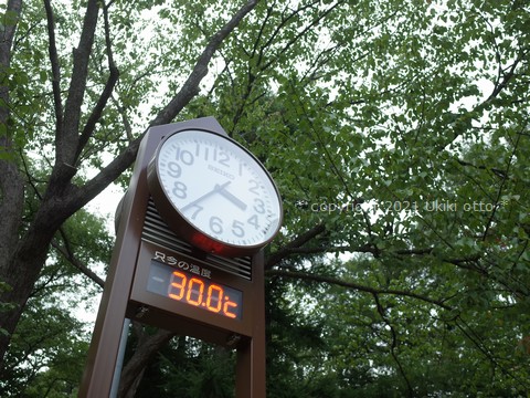 円山公園／30℃