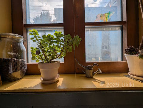 フレッシュネスバーガー