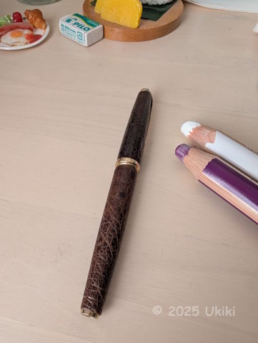 万年筆 アマゾネス