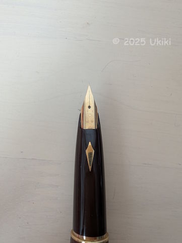 万年筆 アマゾネス