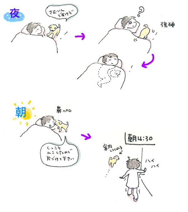 わんことお泊り