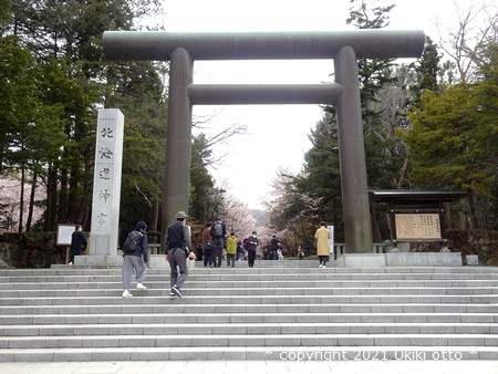 北海道神宮