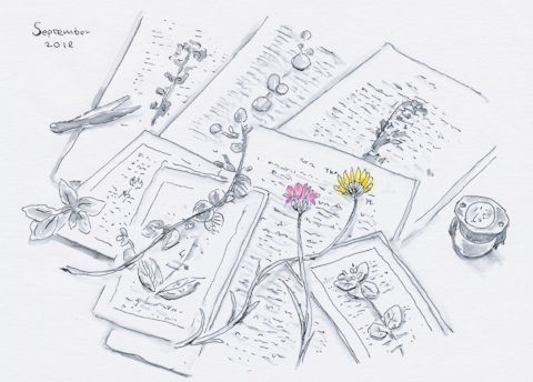 RYURYUカレンダー