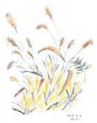 道端の草
