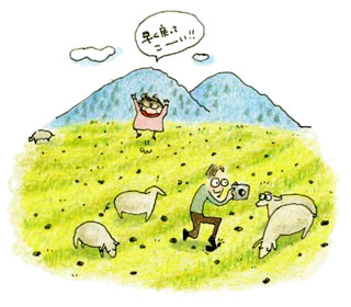 フェント村の羊たち
