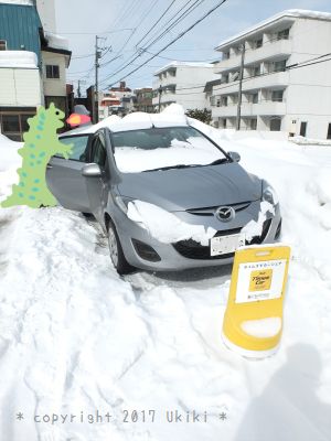 雪の中の車