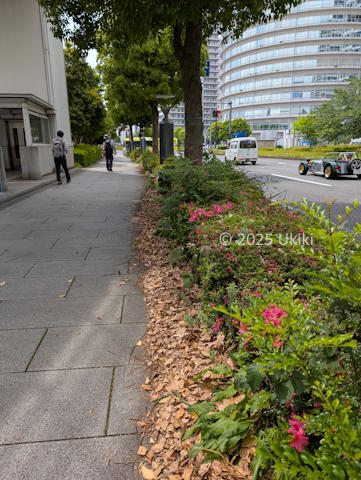 横浜歩道