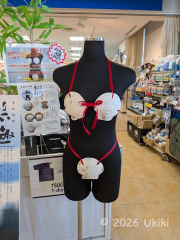 貝の水着